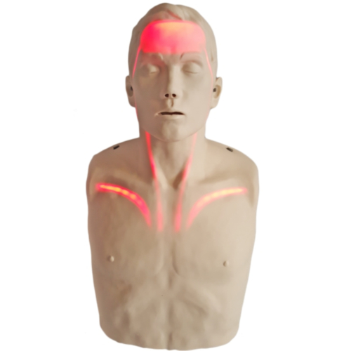 Brayden PRO Manikin With Bluetooth App Support and RED LED lighting - 10444