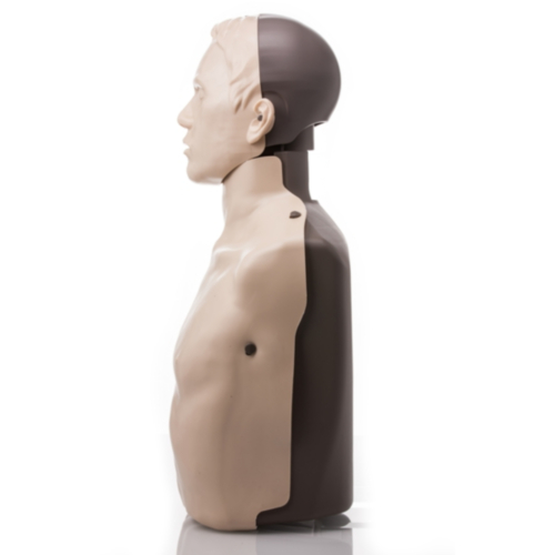 Brayden LIGHTS Manikin with WHITE LED lighting - 3407