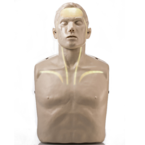 Brayden PRO Manikin With Bluetooth App Support and WHITE LED lighting - 1818
