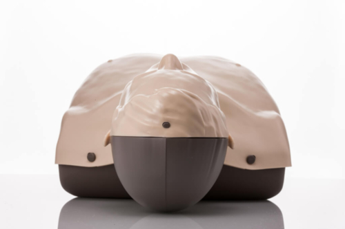 Brayden LIGHTS Manikin with WHITE LED lighting - 10427