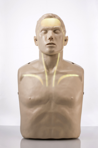 Brayden PRO Manikin With Bluetooth App Support and WHITE LED lighting - 5450