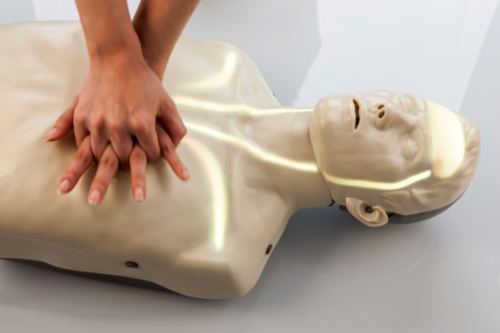 Brayden LIGHTS Manikin with WHITE LED lighting - 5377