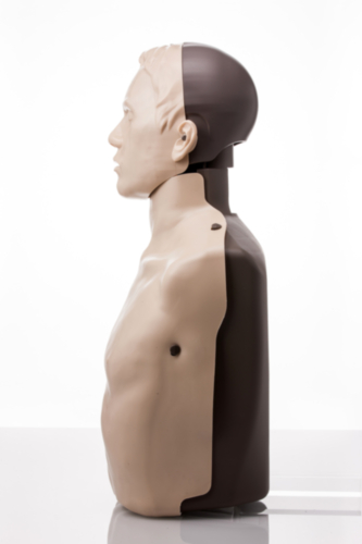 Brayden LIGHTS Manikin with WHITE LED lighting - 5376